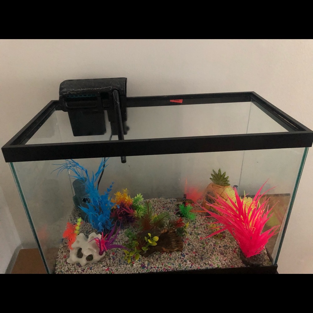 Fish tank with stand - Picture 2 of 3